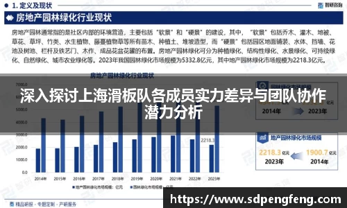 深入探讨上海滑板队各成员实力差异与团队协作潜力分析
